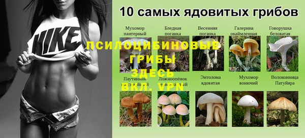мет Кодинск