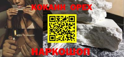 мдпв Кингисепп