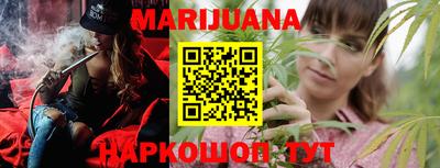 мдпв Кингисепп