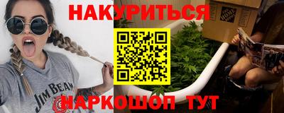 мдпв Кингисепп