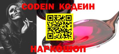мдпв Кингисепп