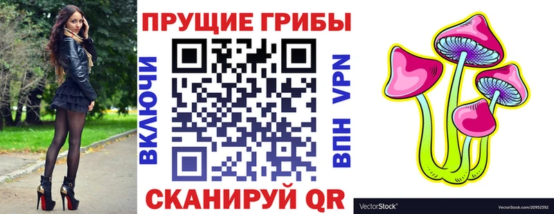 сколько стоит Ставрополь Галлюциногенные грибы Cubensis