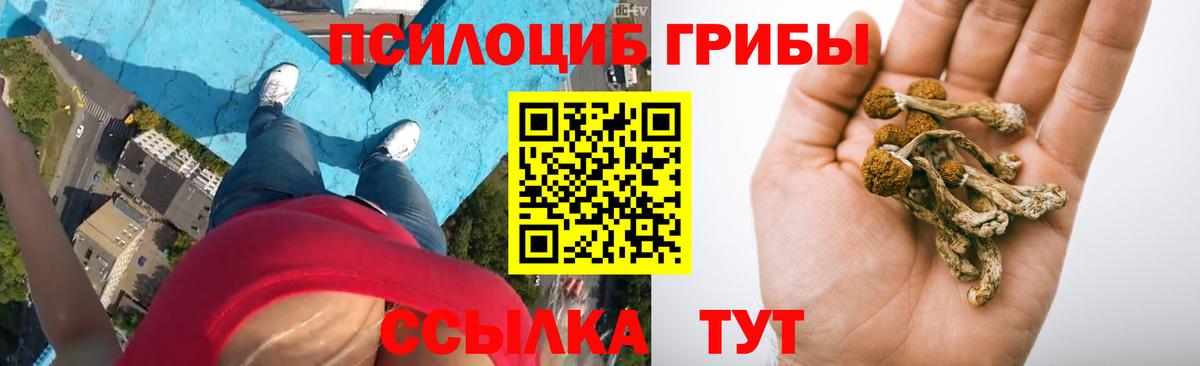 Галлюциногенные грибы Psilocybine cubensis  Вход с VPN  Ставрополь 